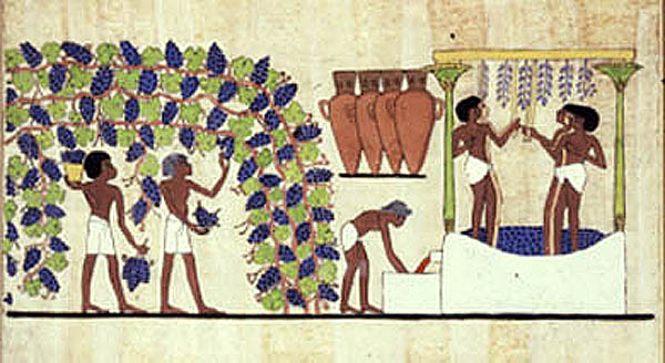 Ancient wine making Egypt