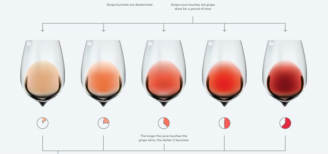 Wine Benefits