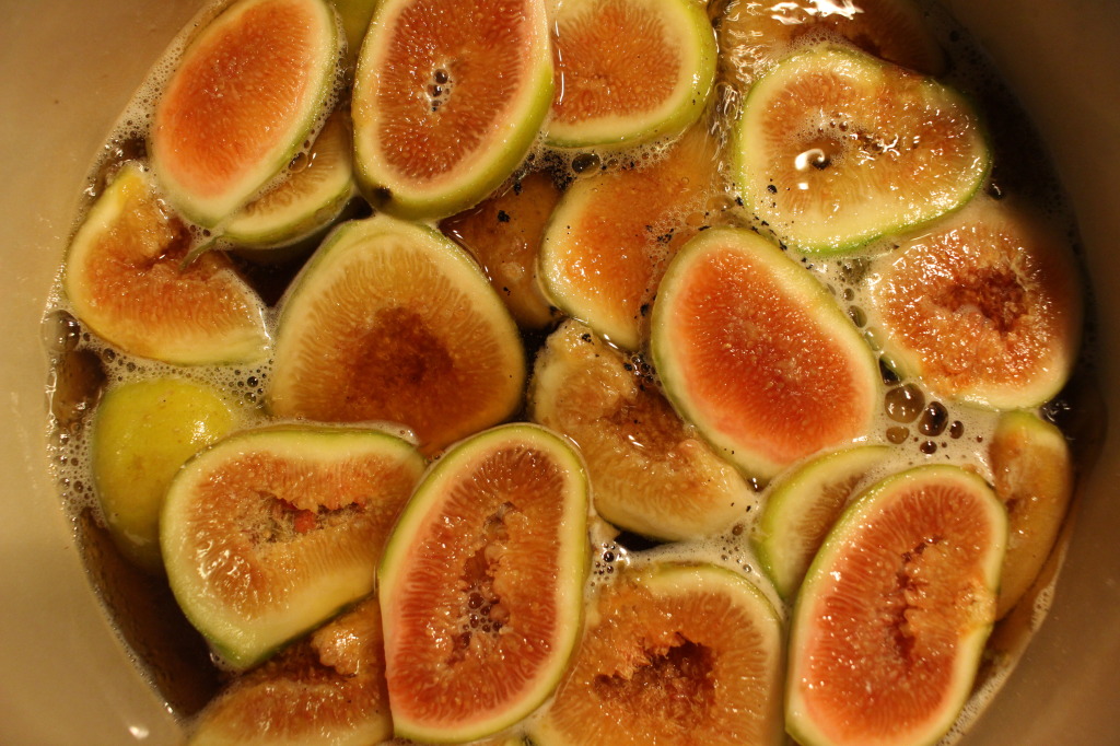 Fig recipe figs close up