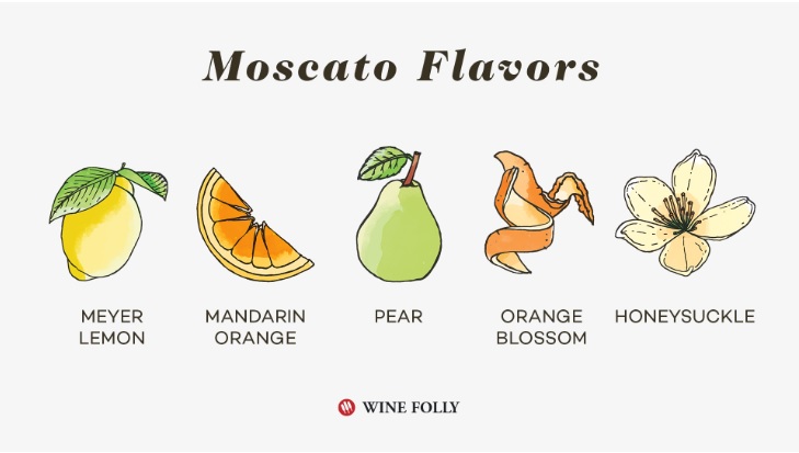 Moscato flavors illustration courtesy of WineFolly.com